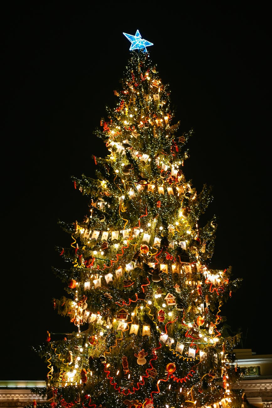 outdoor christmas tree illuminated at night