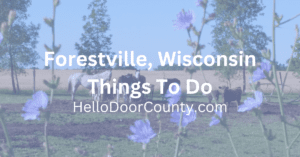 horses and cattle in a field with flowers in the foreground and the text Forestville Wisconsin Things To Do