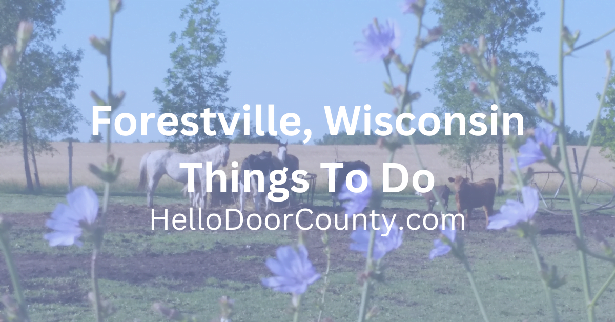 horses and cattle in a field with flowers in the foreground and the text Forestville Wisconsin Things To Do