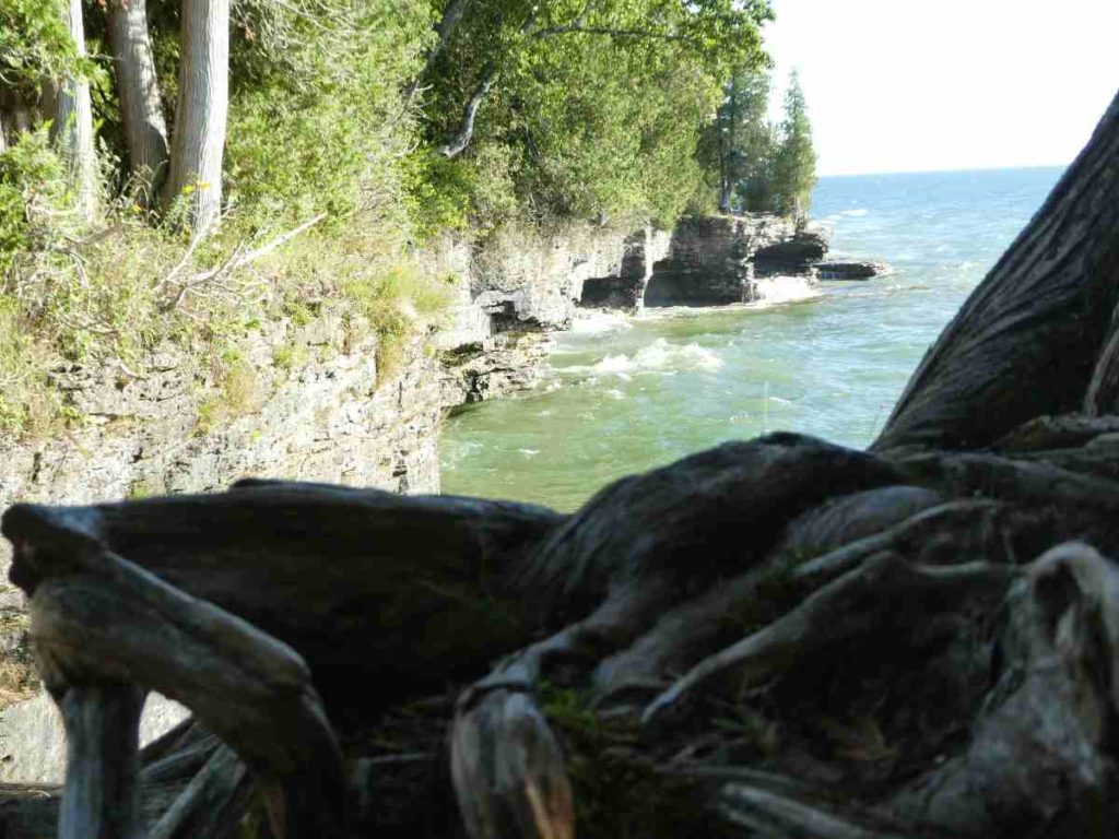 Sea caves at Cave Point County Park in Door County, Wisconsin, with tree roots in foreground.