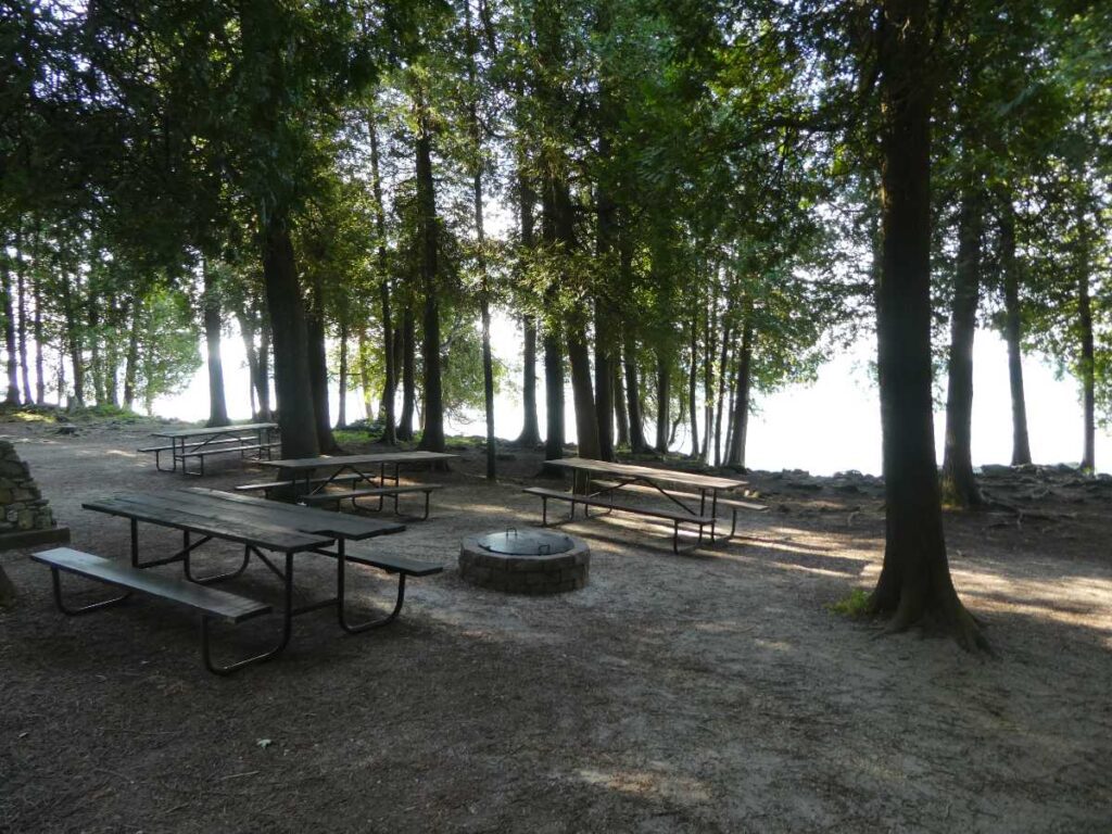 Picnic tables and fire pit.