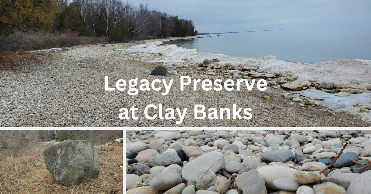 collage with wide and close shots of a pebble beach and a glaciar erratic boulder. Text superimposed reads: "Legacy Preserve at Clay Banks."