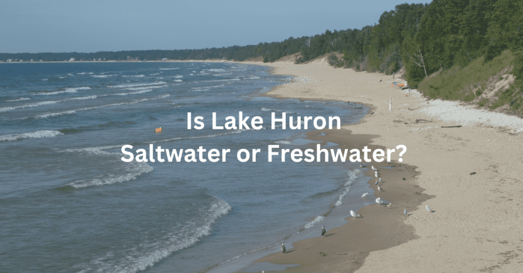 shoreline scene. Superimposed text: "Is Lake Huron saltwater or freshwater?"