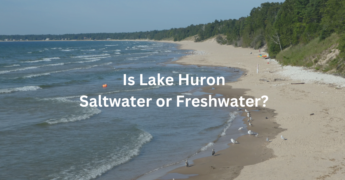 Is Lake Huron Saltwater or Freshwater? Hello Door County