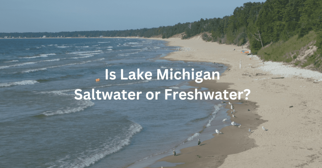 Beach along the shoreline of Lake Michigan. Superimposed text: Is Lake Michigan saltwater or freshwater?