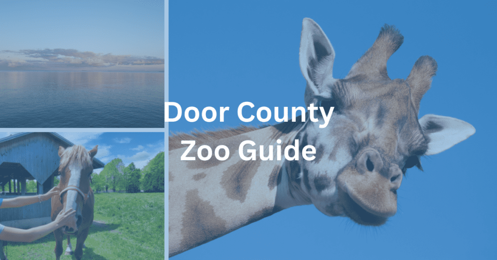 Collage with a sunset over water, a horse being petted, and a giraffe head. Text super imposed says, "Door County Zoo Guide."