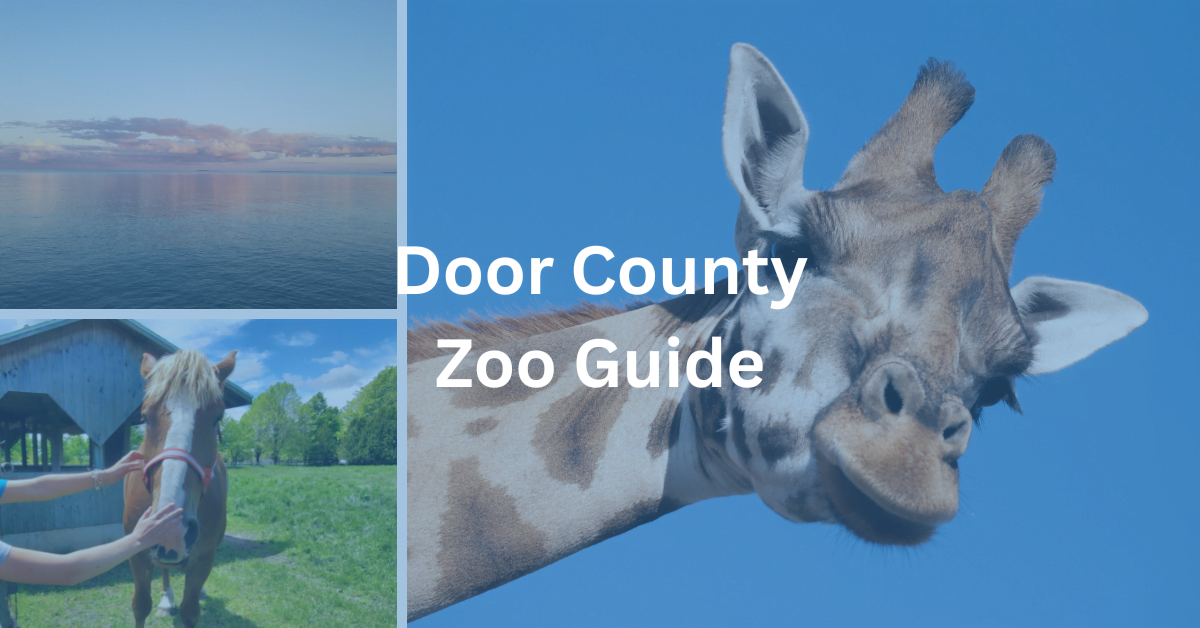 Collage with a sunset over water, a horse being petted, and a giraffe head. Text super imposed says, "Door County Zoo Guide."