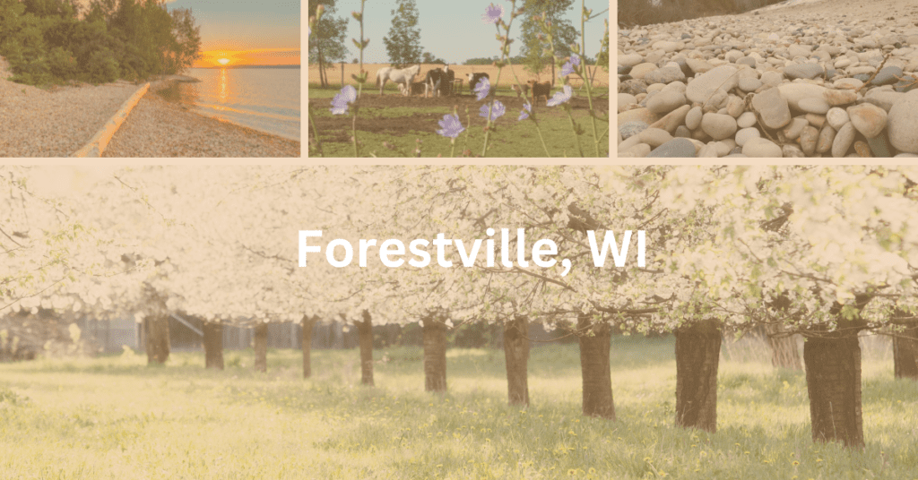 collage with cherry trees, pebbles, and farm animals with the superimposed text "Forestville, WI"