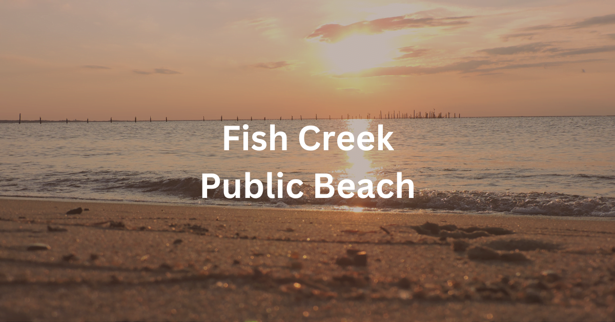 Shoreline scene. Superimposed text says: "Fish Creek Public Beach."