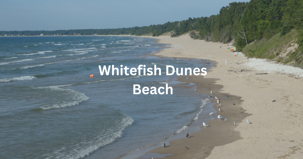 Whitefish Dunes Beach