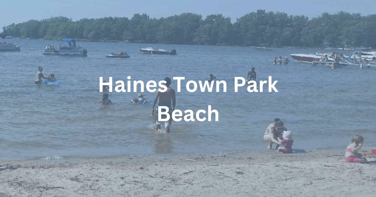 Haines Town Park Beach