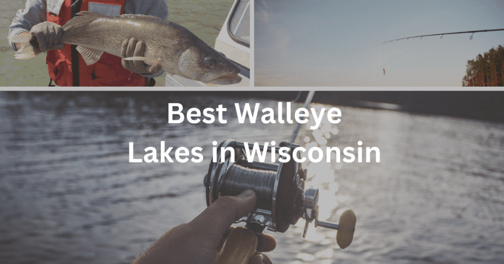 grid of fishing images with the superimposed text: Best Walleye Lakes in Wisconsin