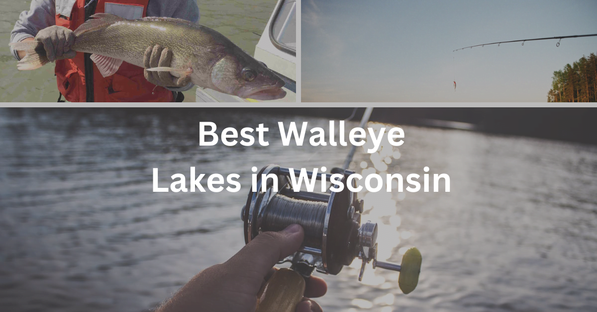 14 Best Walleye Lakes in Wisconsin 