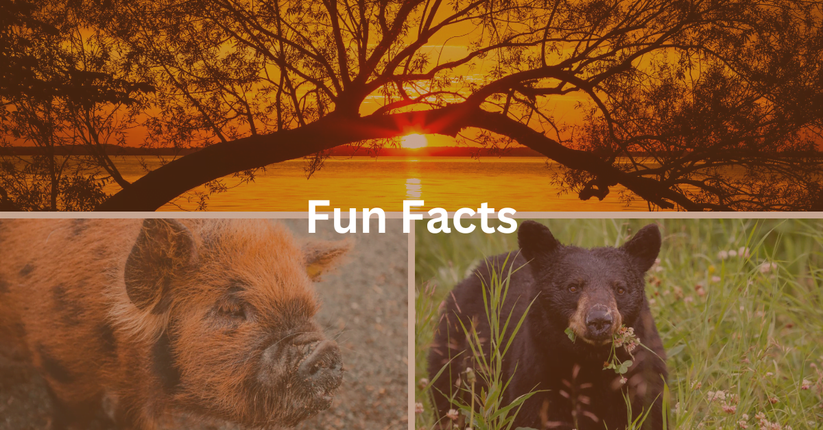 25 Fun Facts About Door County, Wisconsin