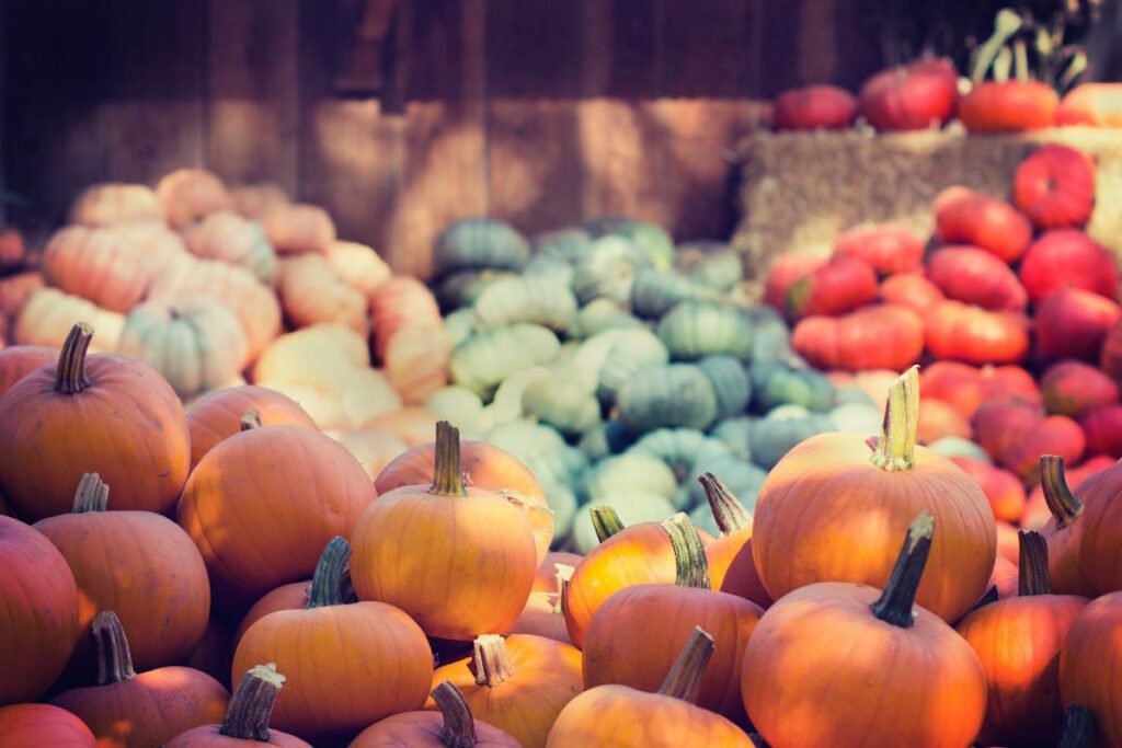 multi-colored pumpkins at a Door County Fall Festival
