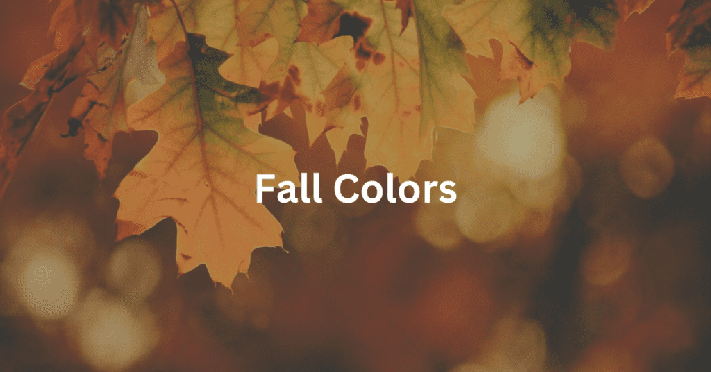 fall leaves with superimposed text: Fall Colors