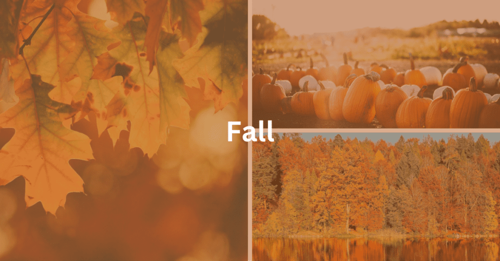 Grid of fall scenes. Superimposed text says; Fall