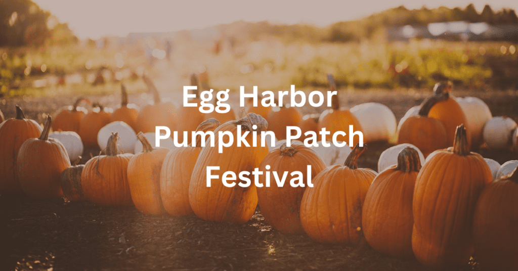 Text says: Egg Harbor Pumpkin Patch Festival. Background is of pumpkins.