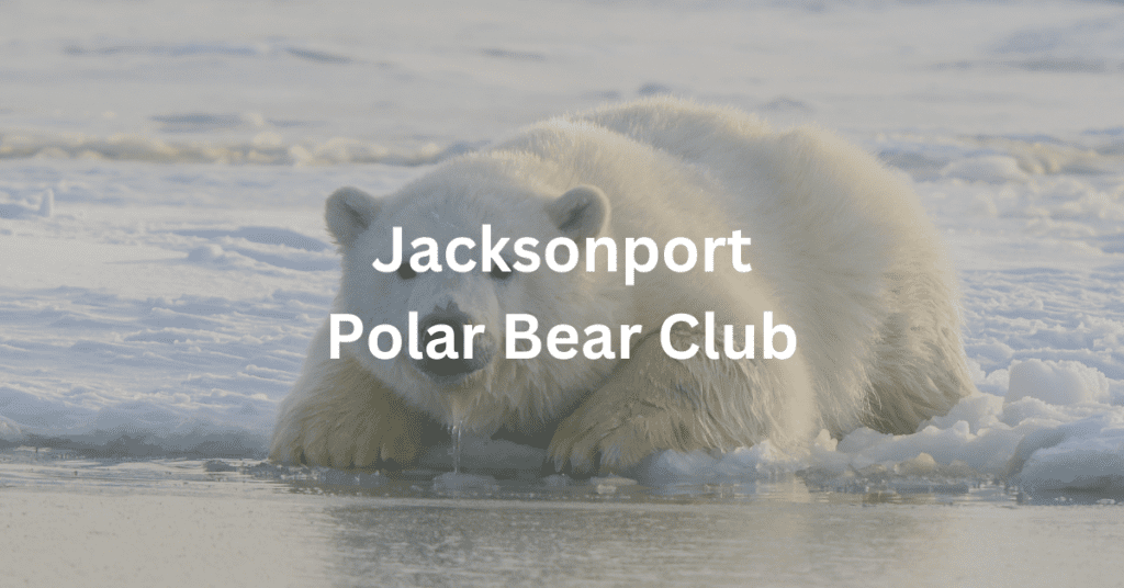 Superimposed text says: Jacksonport Polar Bear Club. Background image is a polar bear sitting on the snow by the water.