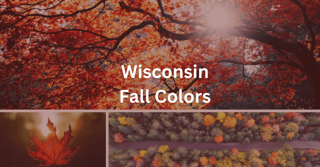 Superimposed text says: "Wisconsin Fall Colors." Background is a grid of autumn scenes.