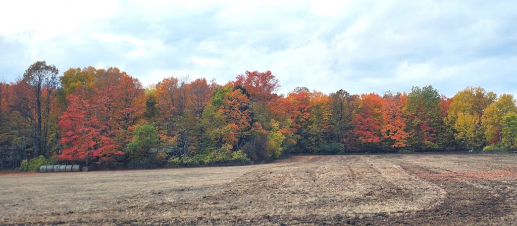 Fall Colors in Door County.