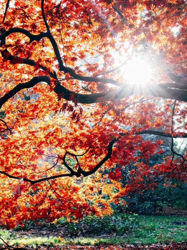 10 Best Places to See Wisconsin’s Fall Colors