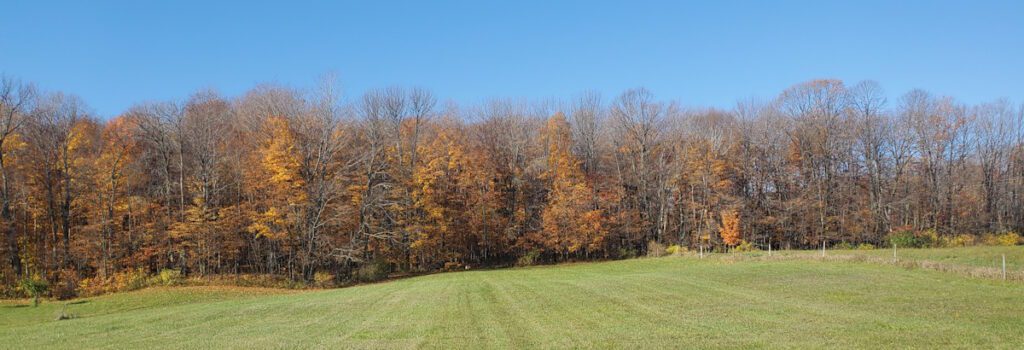 Fall colors in Door County.