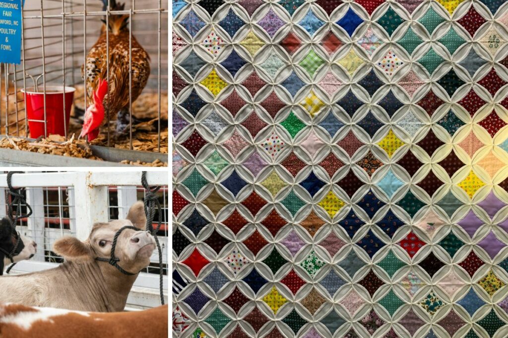 Grid of images including a quilt, chicken, and cow - exhibits at the Door County fair.