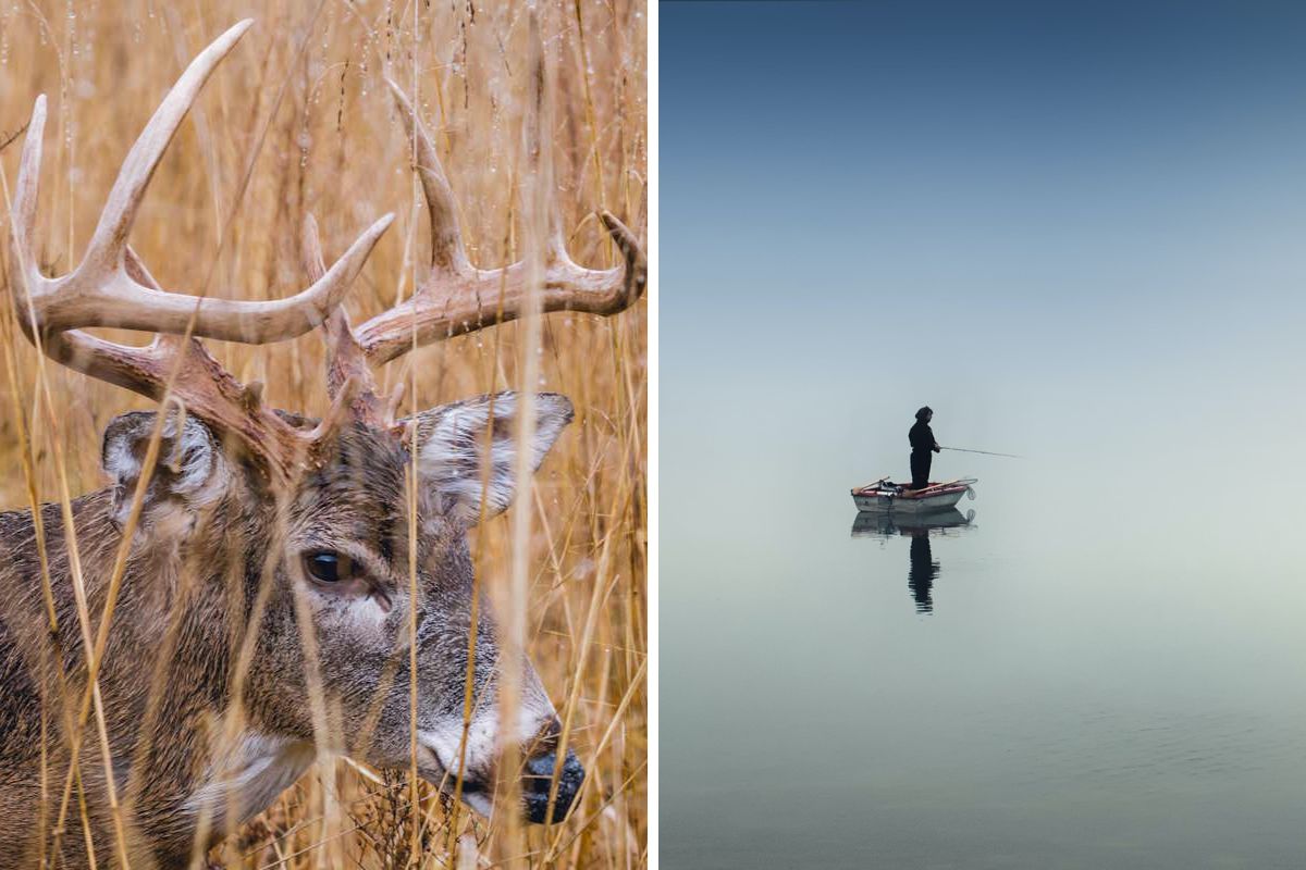 Grid with an image of a deer and a person fishing.