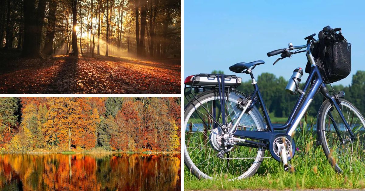 Grid of images depicting taking an e-bike tour in Peninsula State Park, Door County, Wisconsin.