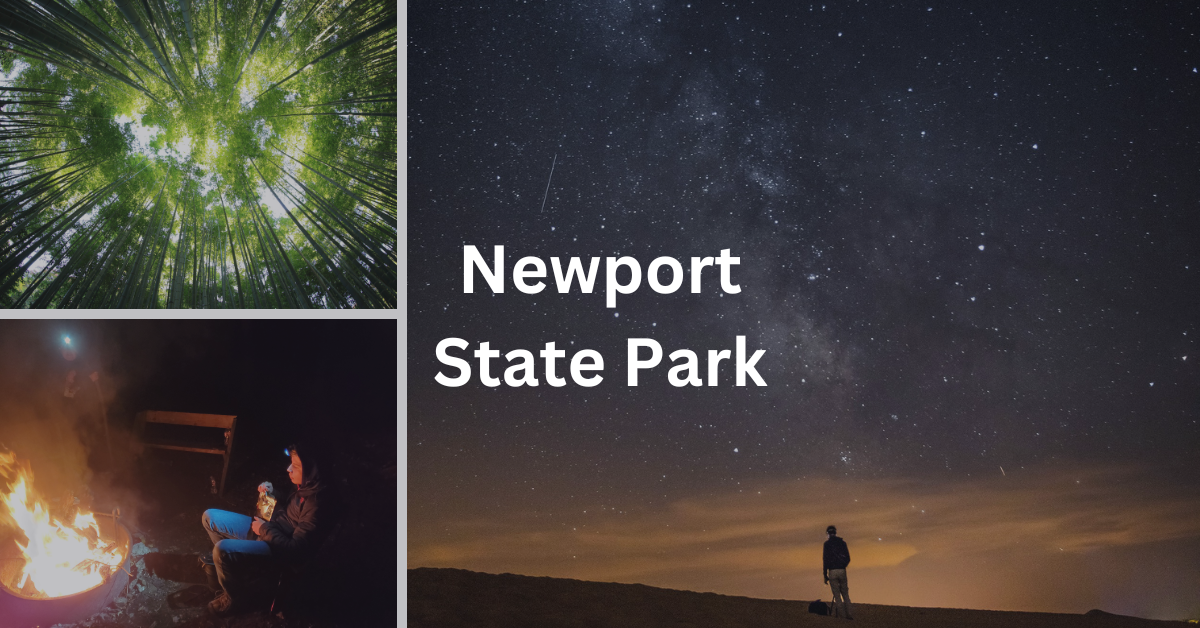 Grid of images from Newport State Park in Door County, including a boy at a campfire, a man watching the stars, and trees. Superimposed text says: Newport State Park.