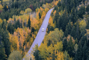car on a road